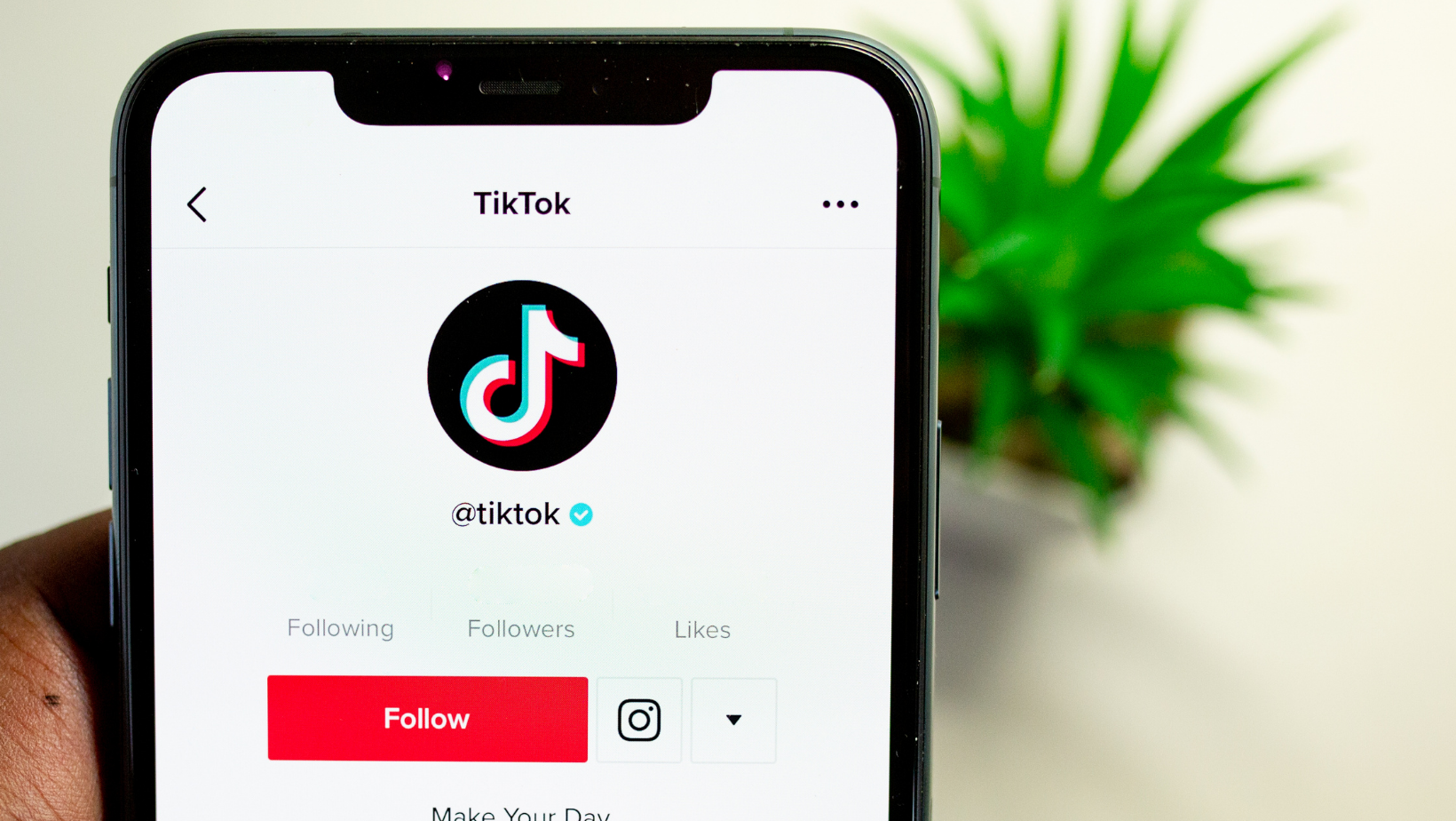 Chamber how to: is tiktok for businesses? Article Photo