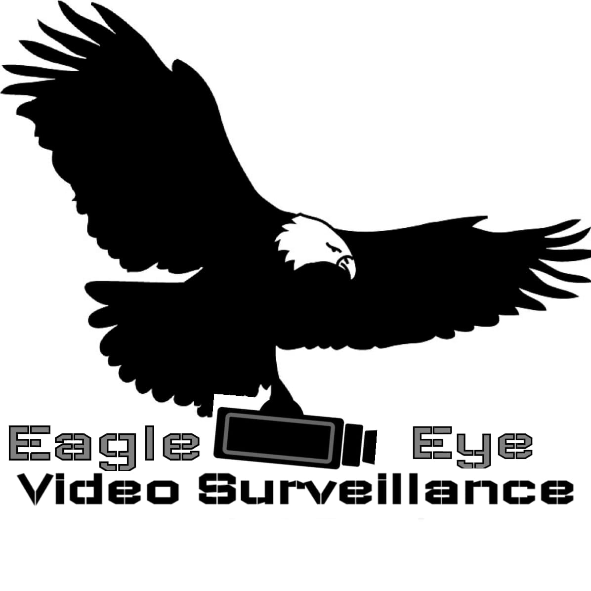 Eagle Eye Video Surveillance's Image