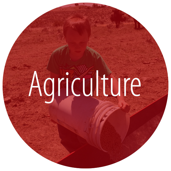 click here for agriculture