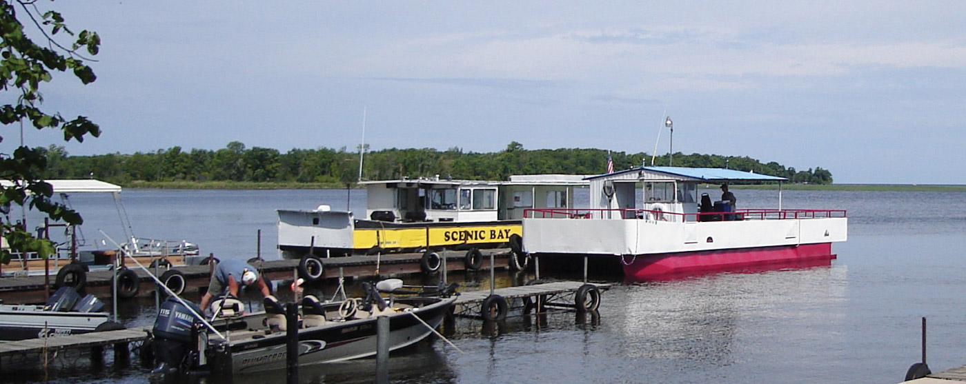 docked boats