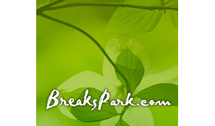 Breaks Interstate Park's Logo
