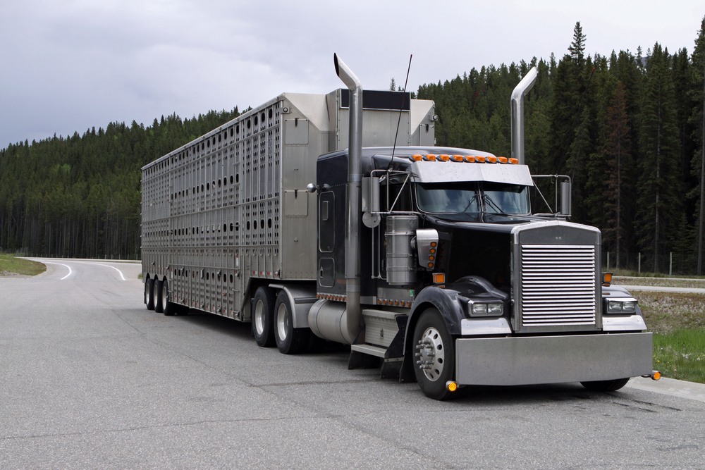 Trucking Industry Support on Track for Supply Chain Photo