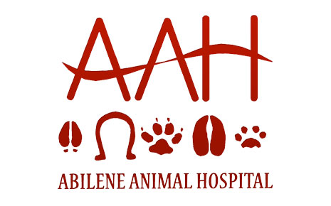 Abilene Animal Hospital's Logo