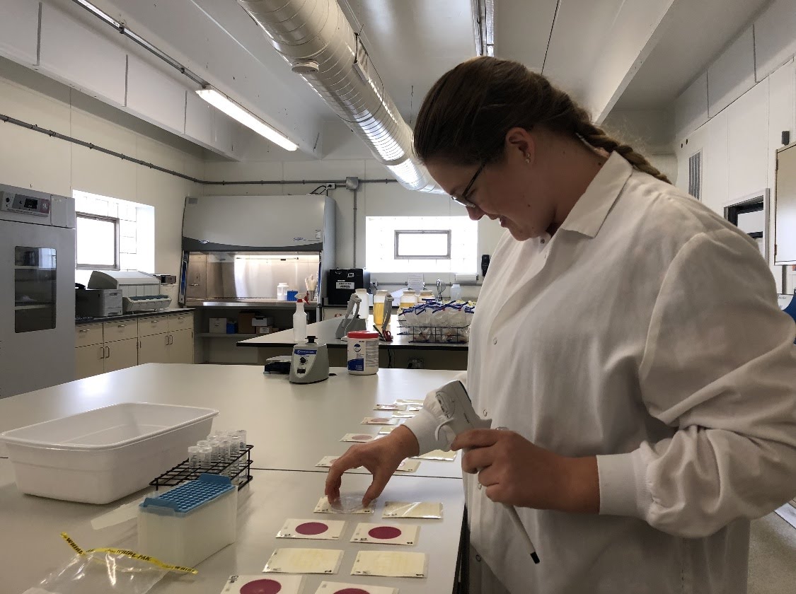 Intern Spotlight: Mary Horger Photo