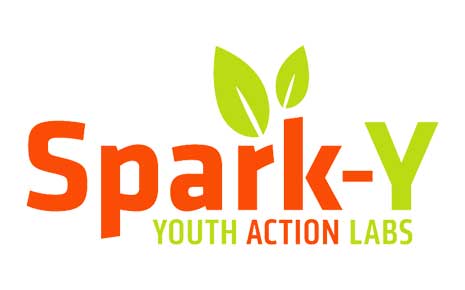 Spark Y's Logo