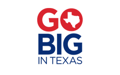 Texas Economic Development Corporation's Image