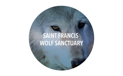 Saint Francis Wolf Sanctuary Image
