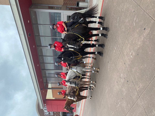 The Mounted Patrol is Saddled Up to Make WMPID Safer Photo