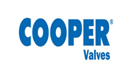 COOPER Valves, LP Slide Image