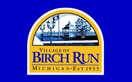 Village of Birch Run's Logo
