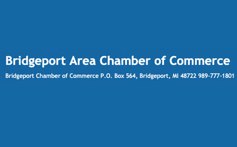Bridgeport Area Chamber of Commerce's Logo