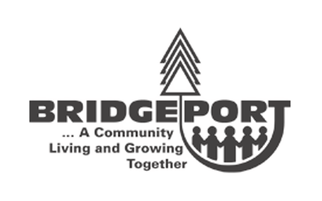 Business Directory Image $4,000 - Bridgeport Charter Township DDA's Logo