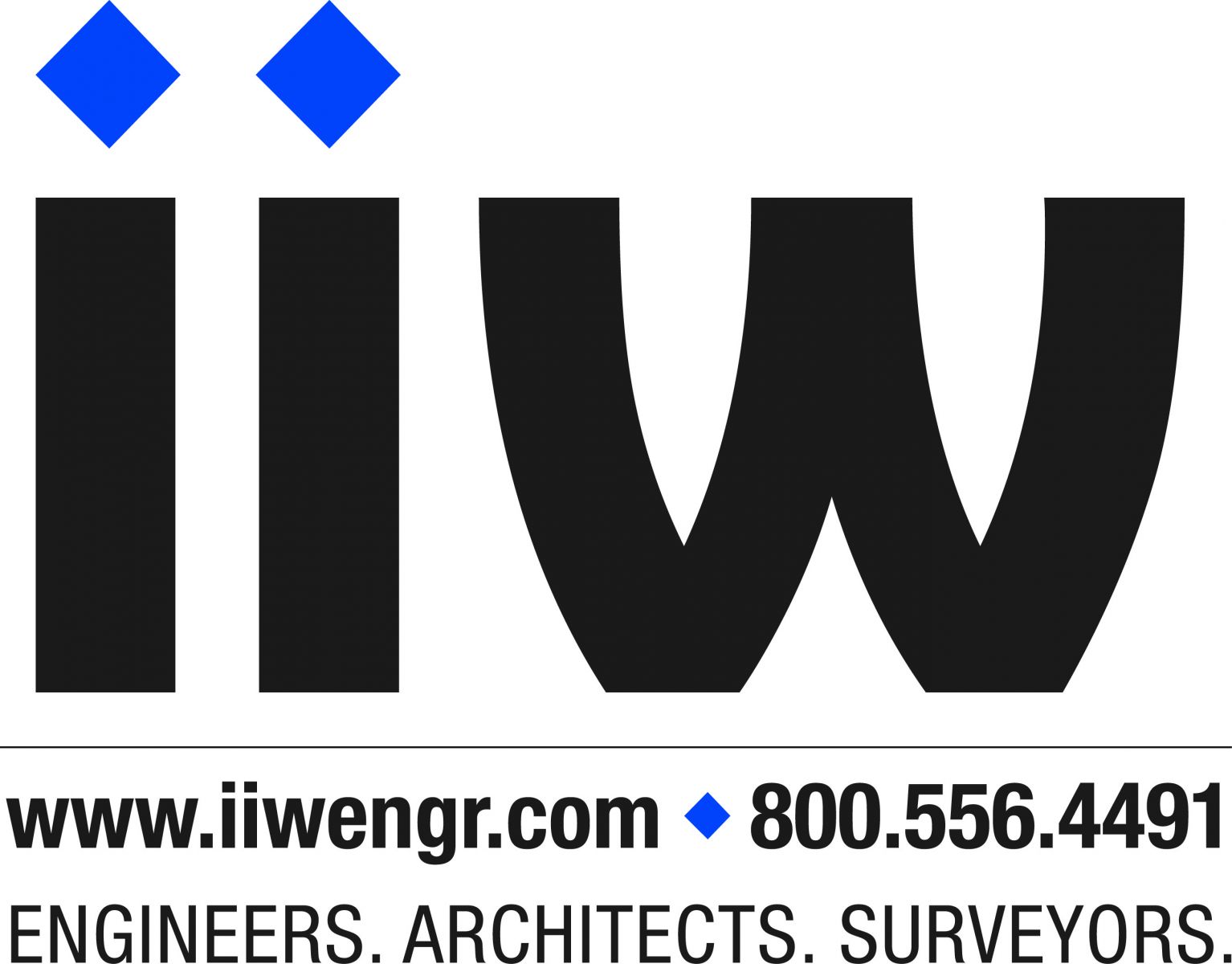IIW - Engineers, Architects, Surveyors Slide Image