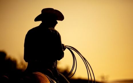 Cowboy Days Rodeo Photo