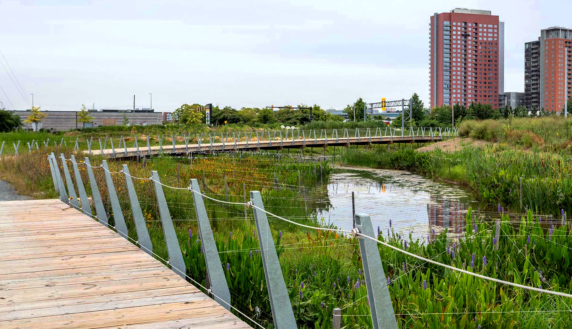South Wilmington Wetlands Park is More Than an Amenity; It’s Green Infrastructure Main Photo