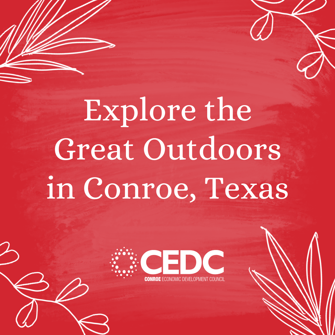 Go explore the outdoors in Conroe! Photo