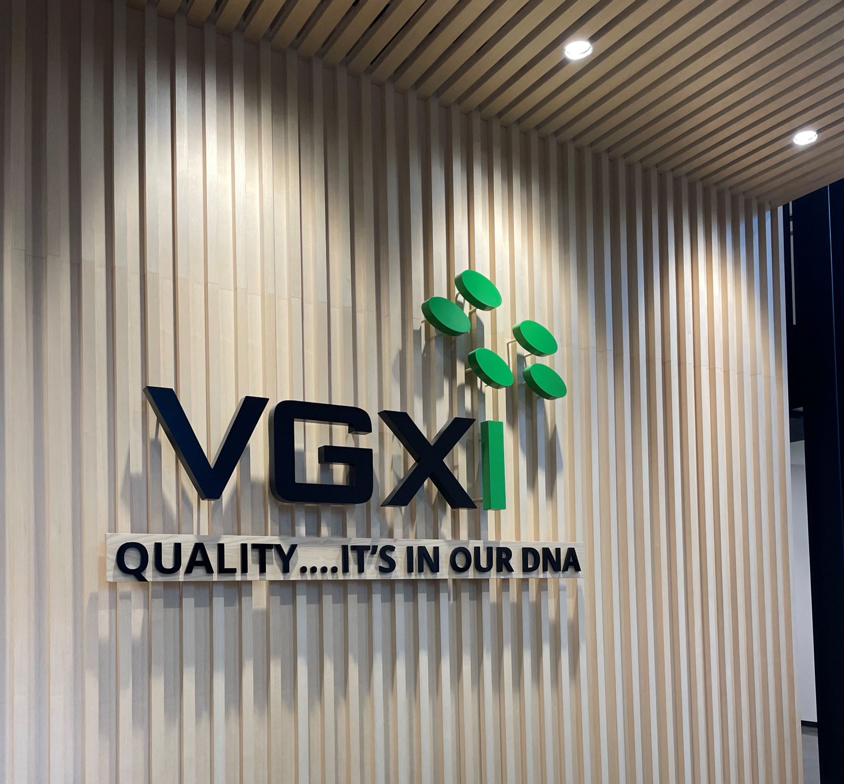 VGXI Celebrates Grand Opening in Deison Technology Park Photo
