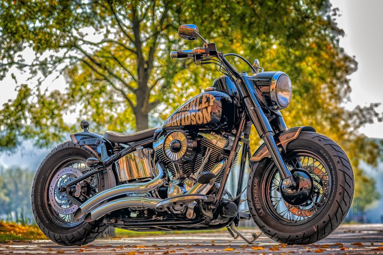 Badlands Harley-Davidson’s® Investment in WEDC Contributes to Well-Being of Wall Citizens Photo