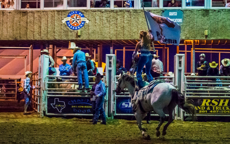 Pasadena Livestock Show & Rodeo Photo