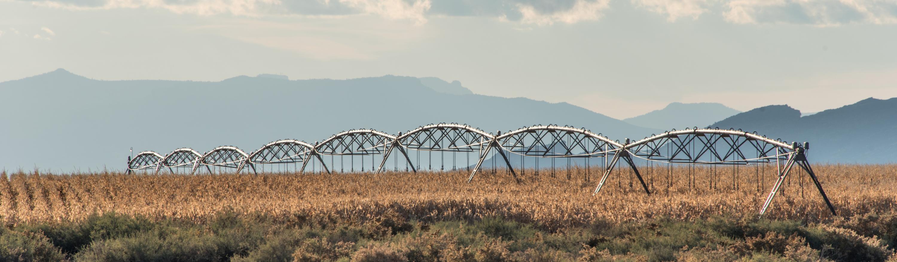 Agriculture in San Juan County, NM