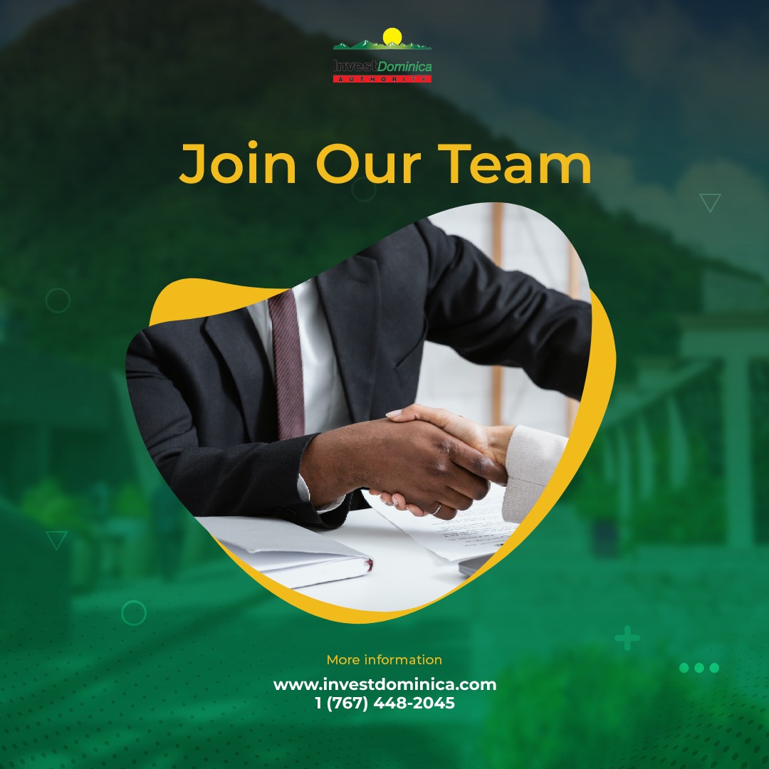 Vacancy: Investor Services Officer Main Photo
