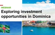 Exploring Investment Opportunities in Dominica Photo
