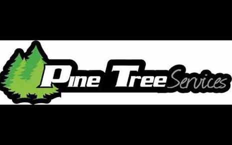Pine Tree Service's Logo