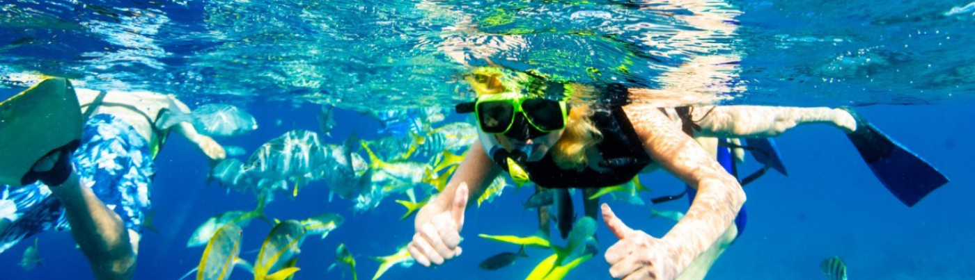 Tourism Companies in the Caribbean