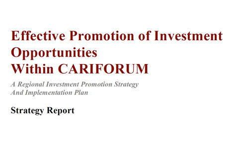 Caribbean FDI Report