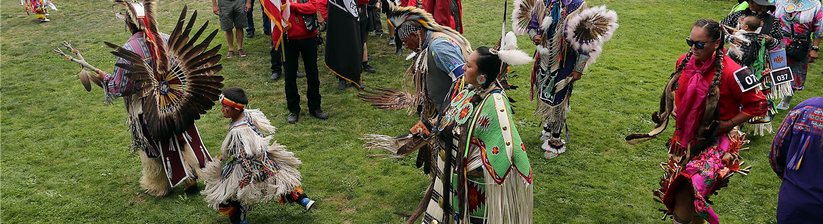 native american pow wow grand entry dancers