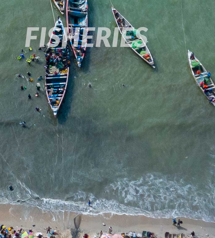 aerial view of fishing boats