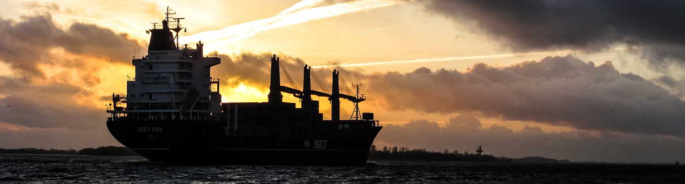 Exporters in Sierra Leone