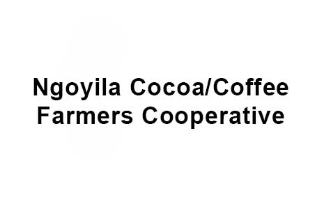 Ngoyila Cocoa/Coffee Farmers Cooperative's Image