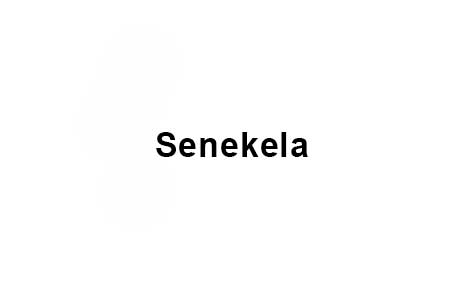 Senekela's Logo