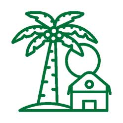 beach palm house