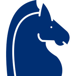 stable business icon