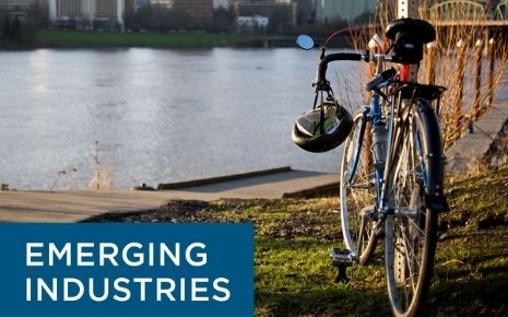 Emerging Industries