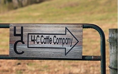 4 C Horse and Cattle Company Photo