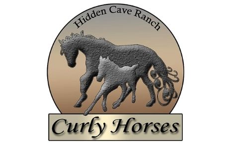 Hidden Cave Ranch Curly Horse Farm Photo