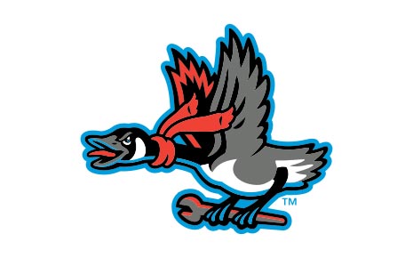 Beloit Sky Carp's Logo