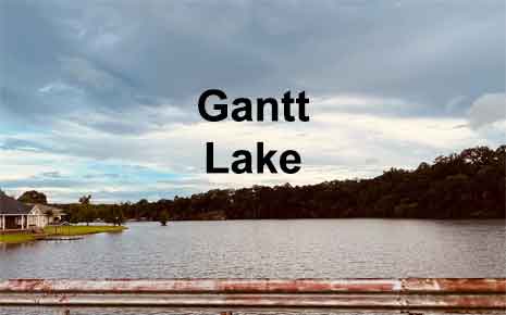 Gantt Lake Photo