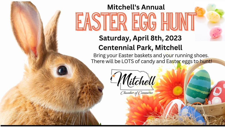 Mitchell's Annual Easter Egg Hunt! Photo