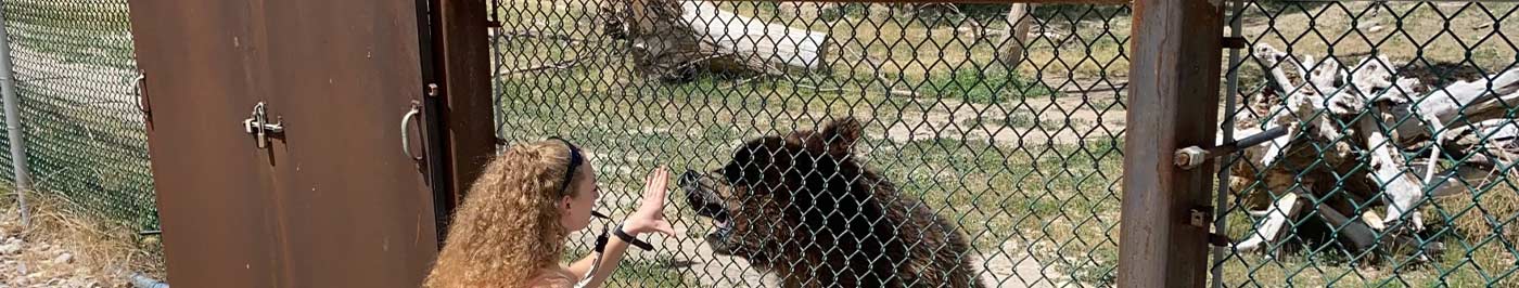 zoo trainer working with bear