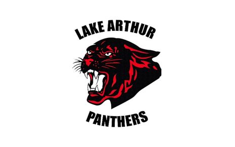 Lake Arthur Municipal Schools Image