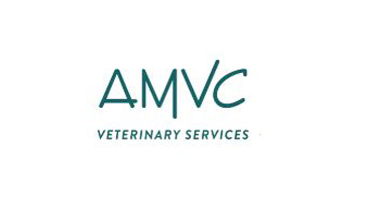 AMVC's Image