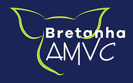 AMVC, Bretanha announce a joint venture in Brazil Main Photo