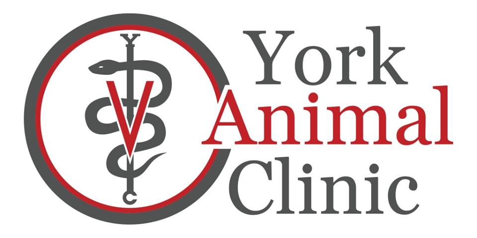 York Animal Clinic's Logo