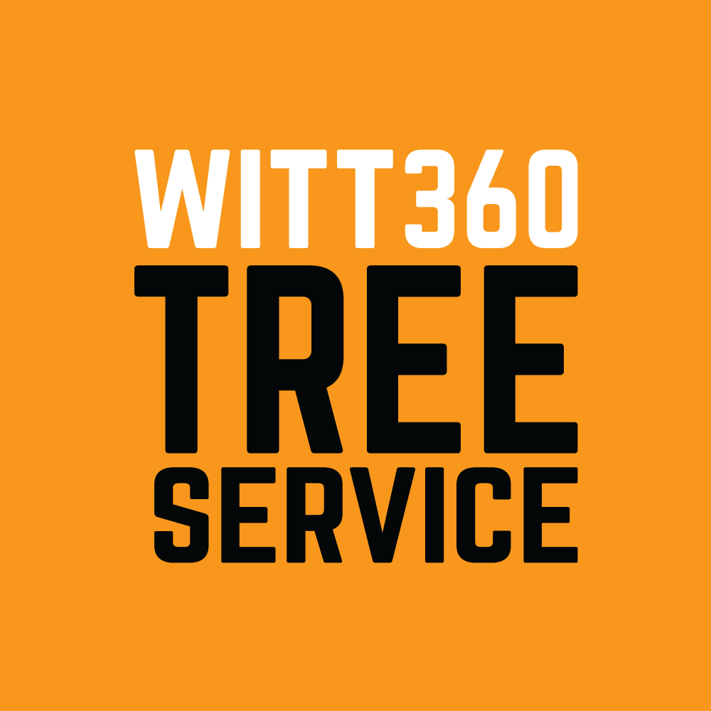 WITT 360 Tree Service's Logo