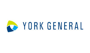 York General Hearthstone-Multiple positions
