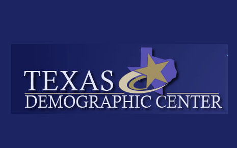 Texas State Data Center's Logo